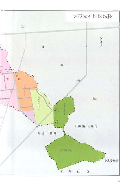 《大枣园村志》.pdf电子版_山东省志预览图5