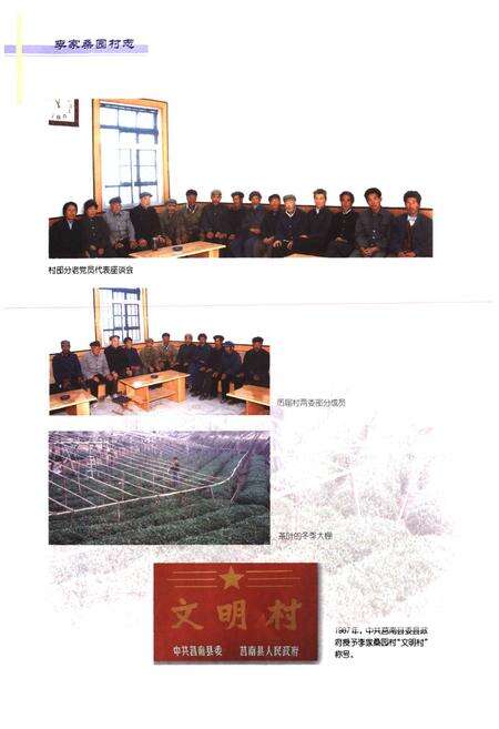 《李家桑园村志》.pdf电子版_山东省志预览图4