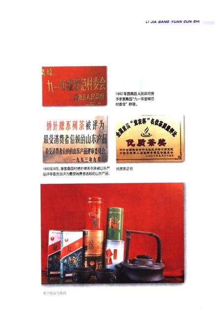 《李家桑园村志》.pdf电子版_山东省志预览图5