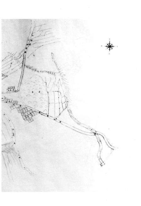 《石湾村志》.pdf电子版_山东省志预览图5