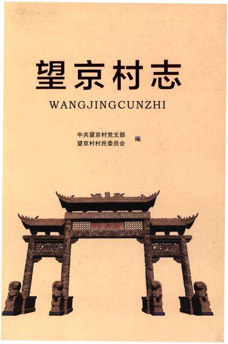 《望京村志》.pdf电子版_山东省志缩略图