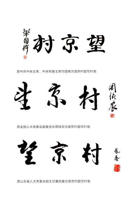 《望京村志》.pdf电子版_山东省志预览图4