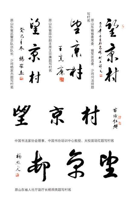 《望京村志》.pdf电子版_山东省志预览图5