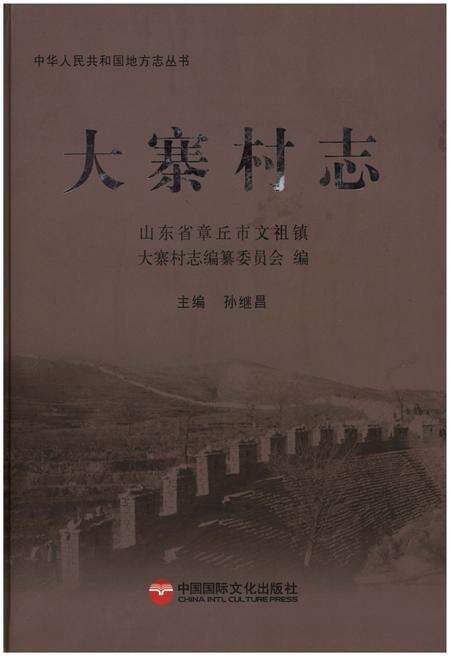 《大寨村志》.pdf电子版_山东省志缩略图