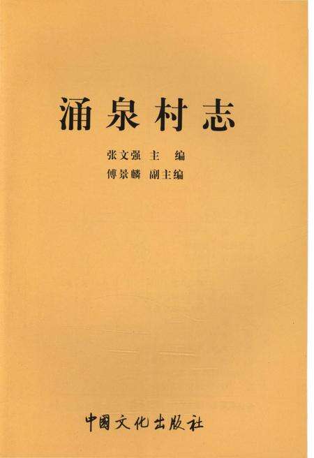 《涌泉村志》.pdf电子版_山东省志预览图1
