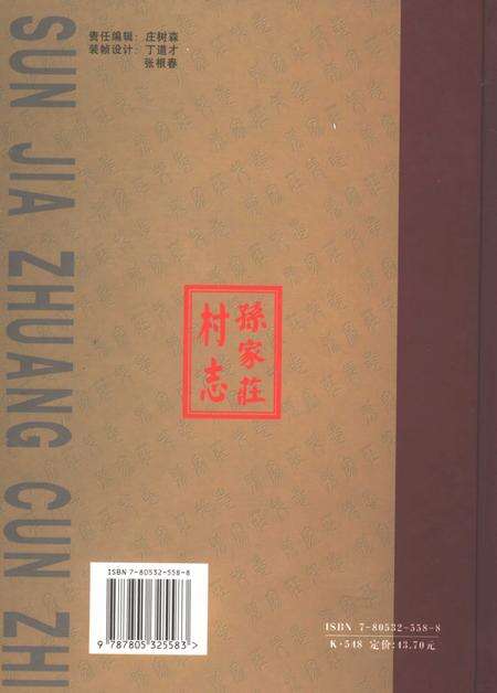 《孙家庄村志》.pdf电子版_山东省志预览图1