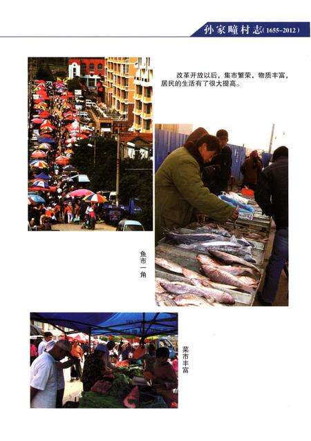 《孙家疃村志》.pdf电子版_山东省志预览图4