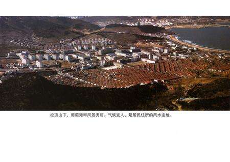 《孙家疃村志》.pdf电子版_山东省志预览图5