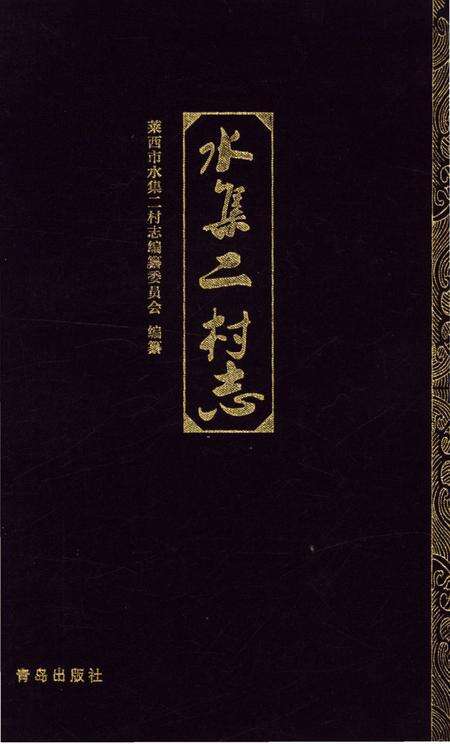 《水集二村志》.pdf电子版_山东省志缩略图