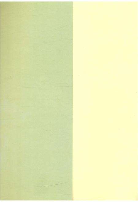 《宋官屯村志》.pdf电子版_山东省志预览图1