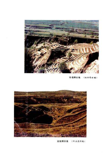 《平鲁县志》.pdf电子版_山西省志预览图4