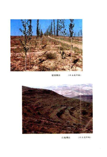 《平鲁县志》.pdf电子版_山西省志预览图5