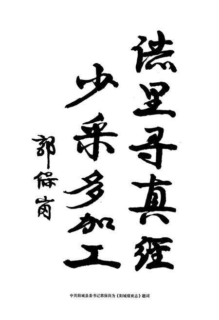 《阳城煤炭志》.pdf电子版_山西省志预览图3