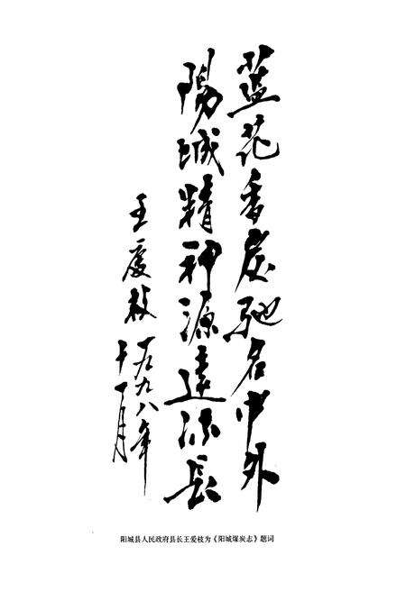 《阳城煤炭志》.pdf电子版_山西省志预览图4