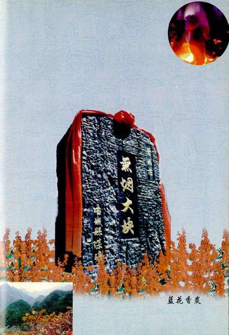 《阳城煤炭志》.pdf电子版_山西省志预览图5