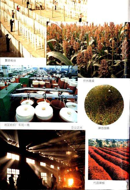 《忻州地区志》.pdf电子版_山西省志预览图4