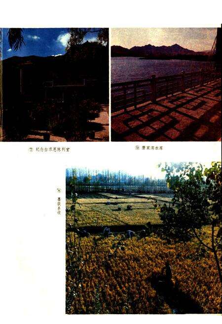 《五台县志》.pdf电子版_山西省志预览图5