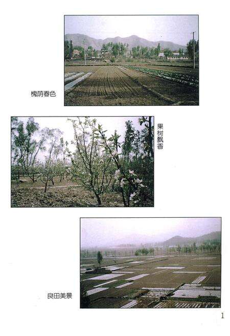 《槐荫村志》.pdf电子版_山西省志预览图5