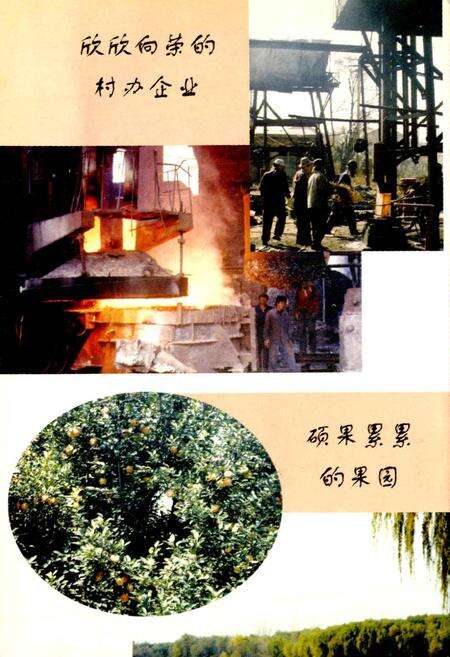 《神山村志》.pdf电子版_山西省志预览图2