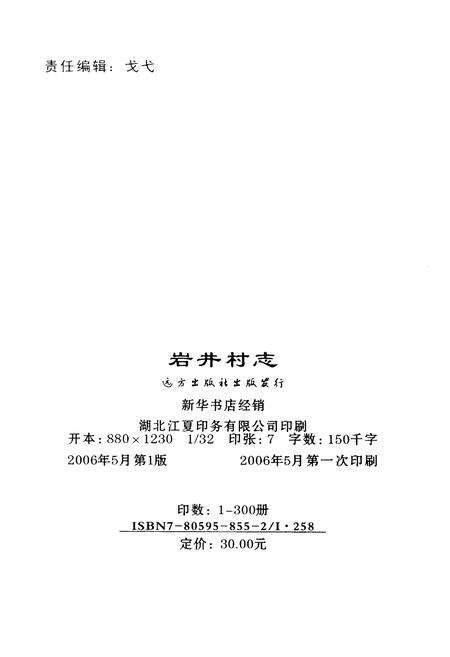 《岩井村志》.pdf电子版_山西省志预览图2