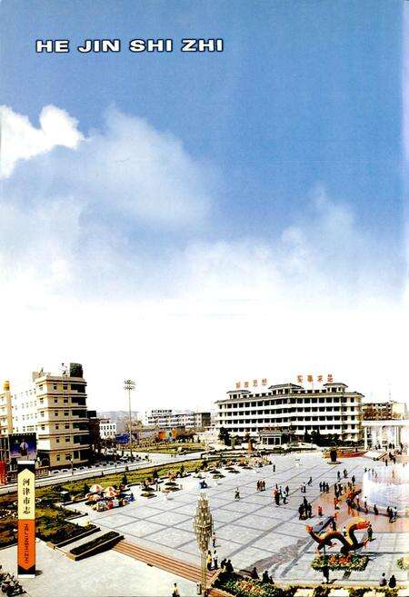 《河津市志 上》.pdf电子版_山西省志预览图2