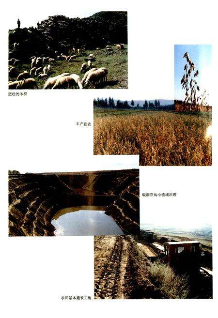 《神池县志》.pdf电子版_山西省志预览图5