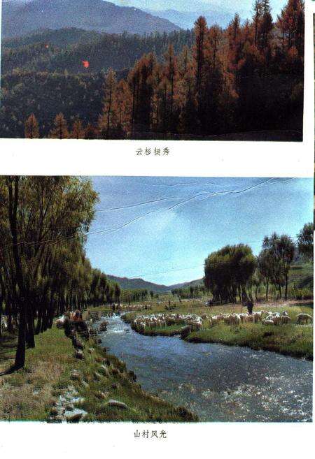 《岢岚县志》.pdf电子版_山西省志预览图4