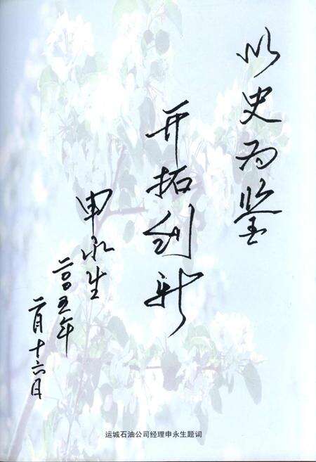 《河津石油公司志》.pdf电子版_山西省志预览图3