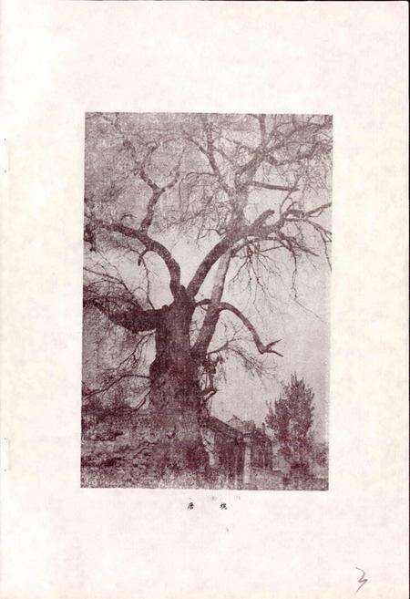 《柳林县地名录》.pdf电子版_山西省志预览图4