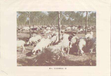 《右玉县地名录》.pdf电子版_山西省志预览图5