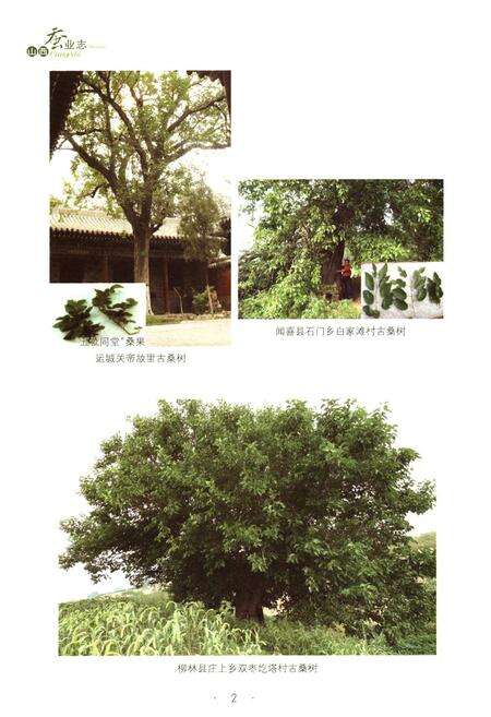 《山西蚕业志》.pdf电子版_山西省志预览图5