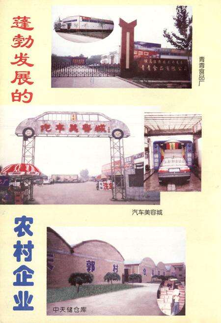 《郭村村志》.pdf电子版_山西省志预览图5