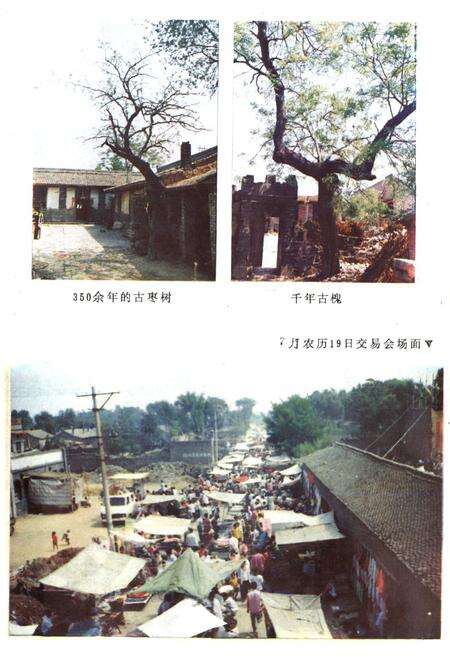 《汾阳县宣柴堡村志》.pdf电子版_山西省志预览图4