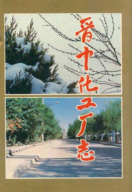 《《晋中化工厂志》》.pdf电子版_山西省志缩略图