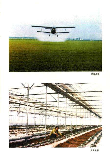 《晋中市志·第二册》.pdf电子版_山西省志预览图2