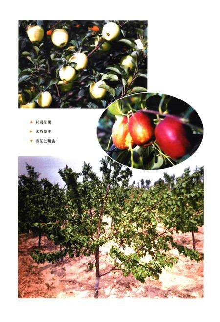 《晋中市志·第二册》.pdf电子版_山西省志预览图3