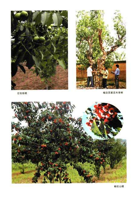 《晋中市志·第二册》.pdf电子版_山西省志预览图4