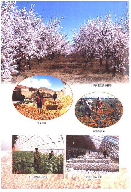 《《天镇县志》(1991-2008)》.pdf电子版_山西省志预览图3