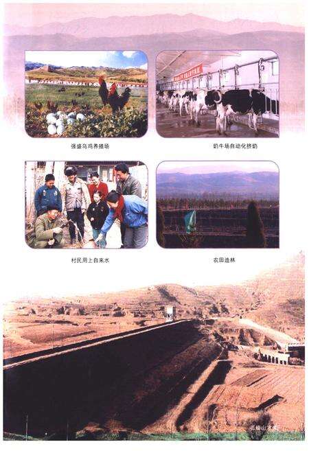 《《天镇县志》(1991-2008)》.pdf电子版_山西省志预览图4