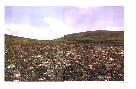 《《灵空山志》》.pdf电子版_山西省志预览图2