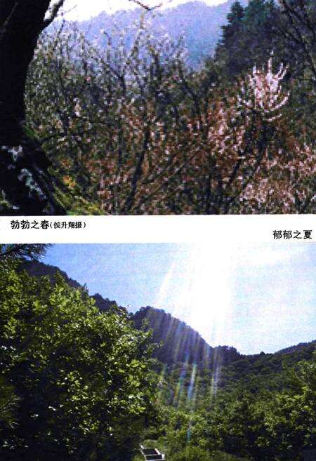 《石膏山志》.pdf电子版_山西省志预览图5