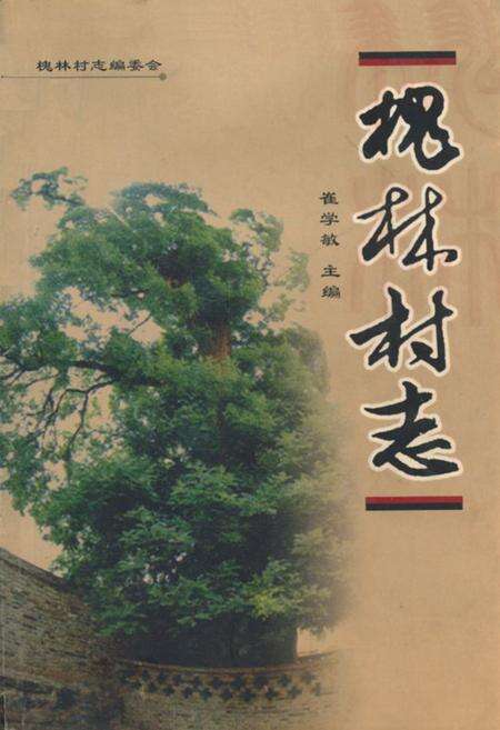 《《槐林村志》》.pdf电子版_山西省志缩略图