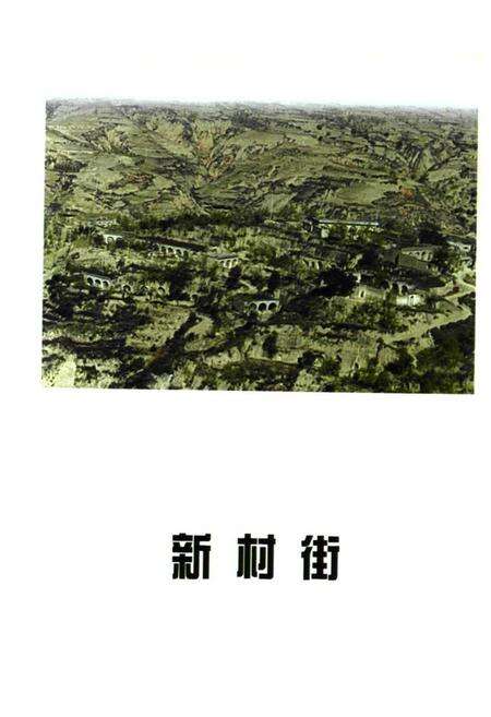 《《大柏岭村村志》》.pdf电子版_山西省志预览图4