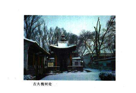 《洪洞古大槐村志》.pdf电子版_山西省志预览图3