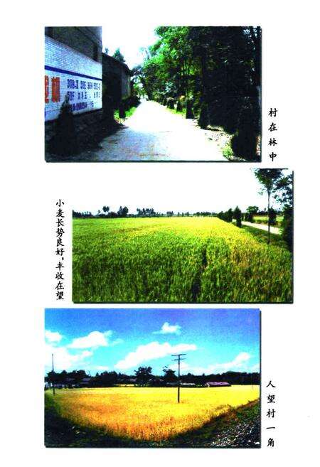 《《翼城县人望村志》》.pdf电子版_山西省志预览图5