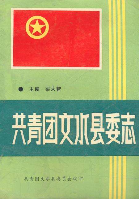 《《共青团文水县委志》》.pdf电子版_山西省志缩略图