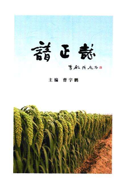 《《谙正村志》》.pdf电子版_山西省志预览图1