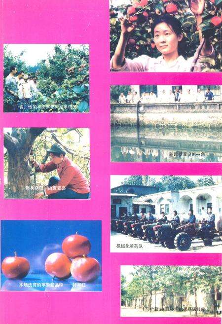 《临汾市果树场志(1958.10-1988.10)》.pdf电子版_山西省志预览图3