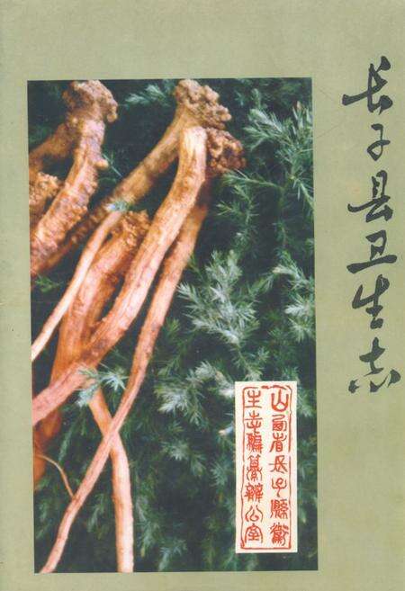 《《长子县卫生志》》.pdf电子版_山西省志缩略图