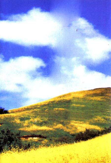 《岔口村志》.pdf电子版_山西省志预览图1